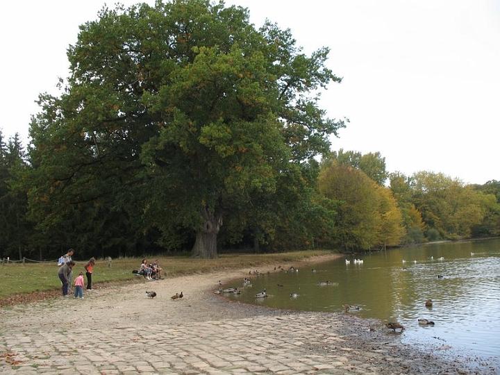 2008 10 Expo Bergerie Rambouillet 36